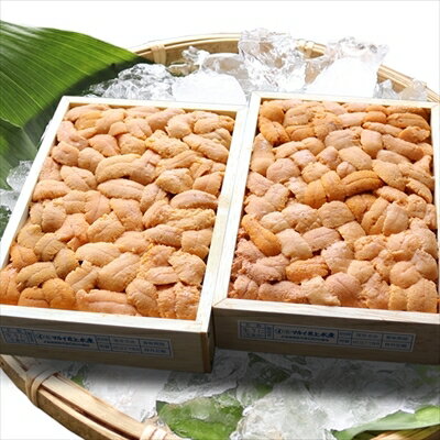 【ふるさと納税】【12月17日決済確定分まで年内配送】 エゾバフンウニバラ詰め 140 ~ 150g × 2 折 うに ウニ 雲丹 バフンウニ エゾバフンうに えぞばふんうに 蝦夷バウンウニ 蝦夷ばふんうに ウニ丼 うに丼 雲丹丼 刺身 お取り寄せ グルメ 海鮮 北海道 根室市 F-71012