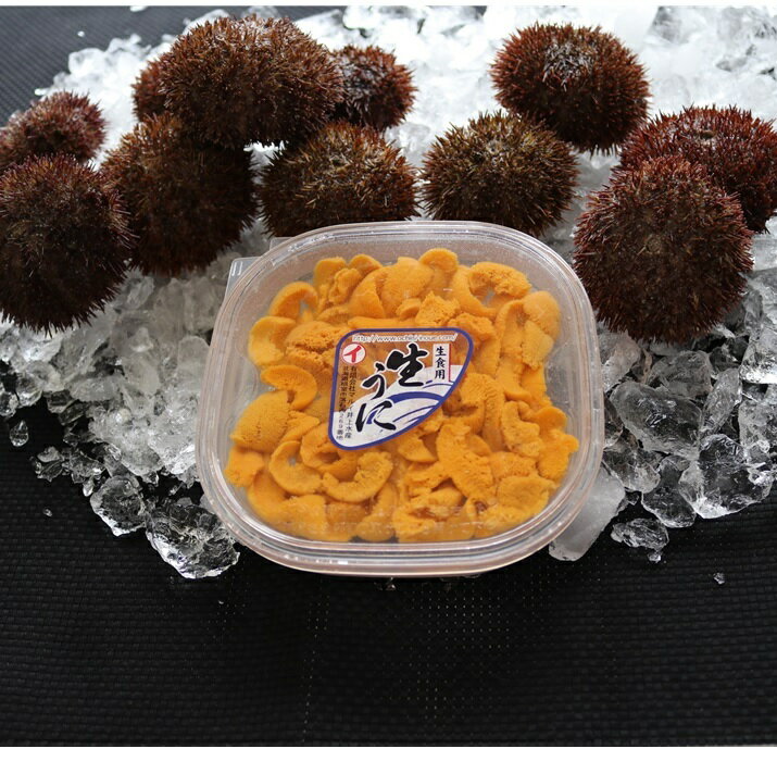 【ふるさと納税】【12月17日決済確定分まで年内配送】 [北海道根室産] エゾバフンウニ塩水パック 選べる 60 ~ 70g × 2P 100g × 1P 100g × 2P うに ウニ 雲丹 バフンウニ エゾバフンうに 塩水 塩水うに 塩水ウニ えぞばふんうに 蝦夷バウンウニ 蝦夷ばふんうに ウニ丼 海鮮