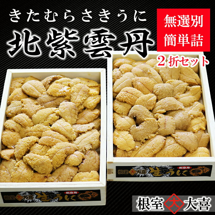 お刺身用キタムラサキウニ簡単詰め250g×2折[7月中旬以降発送]