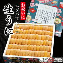 【ふるさと納税】 エゾバフンウニ600g×1枚 E-73001