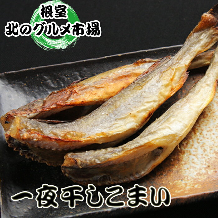 ڤդ뤵Ǽǡ[̳ƻ]봳ޤ ٤ 5 10    ޥ ɹ ʪ ̳ƻ 