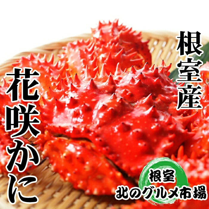 【ふるさと納税】＜年内配送可＞ [