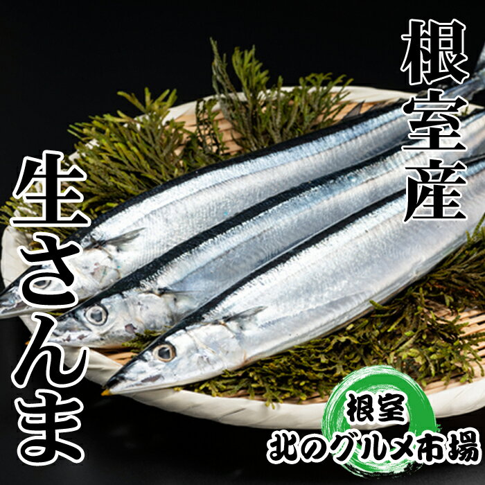 魚介類・水産加工品(サンマ)人気ランク30位　口コミ数「0件」評価「0」「【ふるさと納税】[北海道根室産]さんま5尾×6P(計30尾) B-76001」