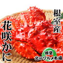 【ふるさと納税】[北海道根室産]花咲かに300g～450g×