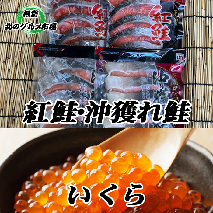 【ふるさと納税】沖獲れ鮭切身5切×10P、紅鮭5切×10P、いくら醤油漬け100g×5P　 E-76003