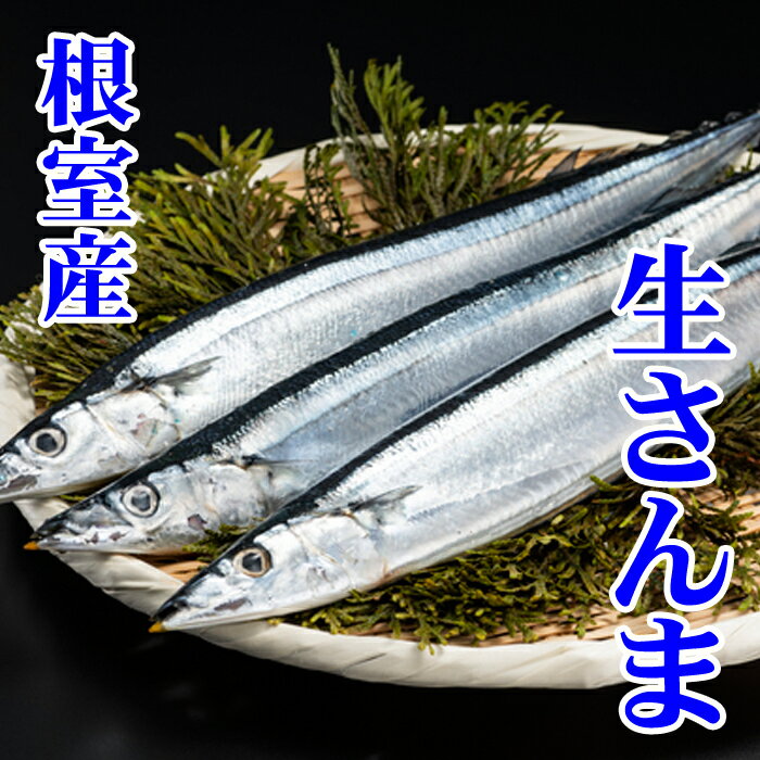 ڤդ뤵Ǽǡ[̳ƻ] ٤ 2P  12P        ̳ƻ 