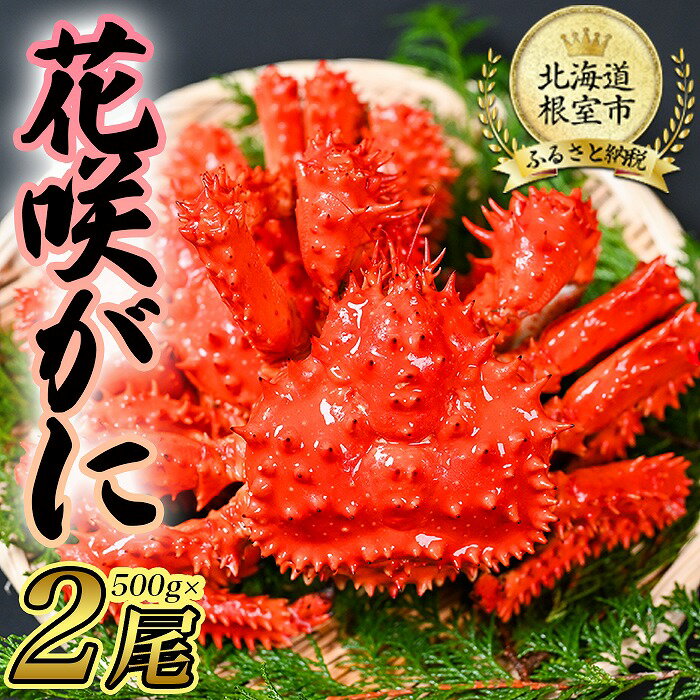 【ふるさと納税】＜年内配送可＞ [