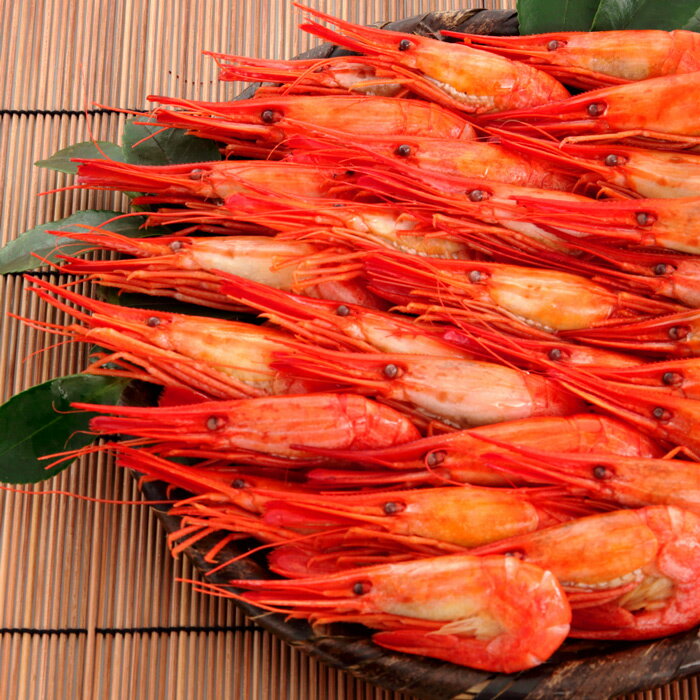 ڤդ뤵Ǽǡ[̳ƻ]̳ޥ ٤ 500g 1kg  Ϸ 