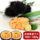 【ふるさと納税】ムラサキウニ塩水パック 選べる 160g ~ 220g うに 雲丹 海鮮 丼