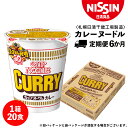 【ふるさと納税】 【定期便6か月】日清 カレーヌ−ドル★1箱(20食入)ラーメン麺 即席麺 麺類 ラーメン カップ麺 インスタント 麺類 カップラーメン ギフト...