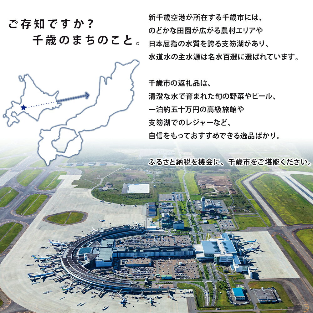【ふるさと納税】北海道千歳市の対象施設で使える楽天トラベルクーポン　寄附額400,000円
