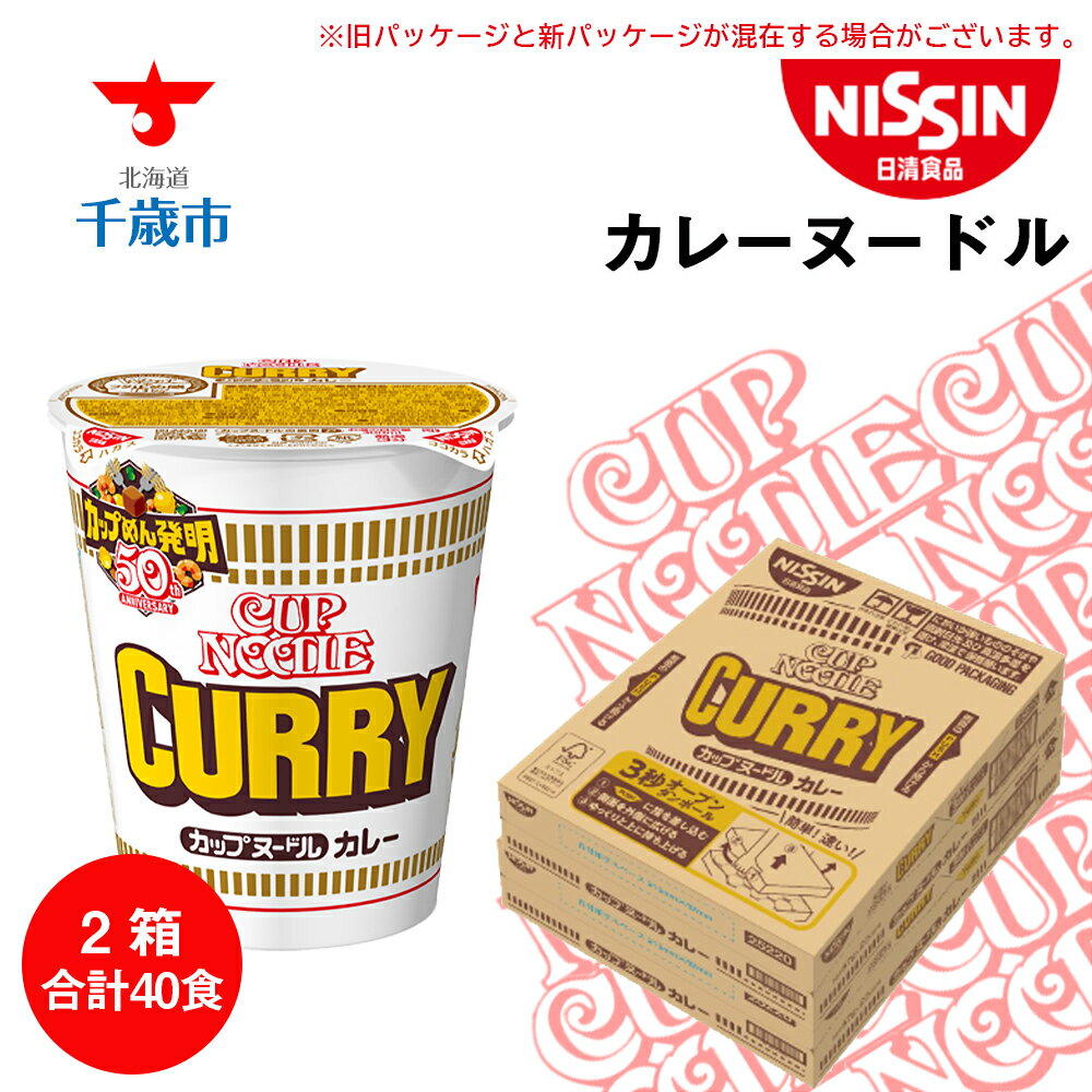 8位! 口コミ数「0件」評価「0」 日清★カレーヌ−ドル★2箱 合計40食 麺類 ラーメンラーメン麺 即席麺 麺類 ラーメン カップ麺 インスタント 麺類 カップラーメン 【･･･ 