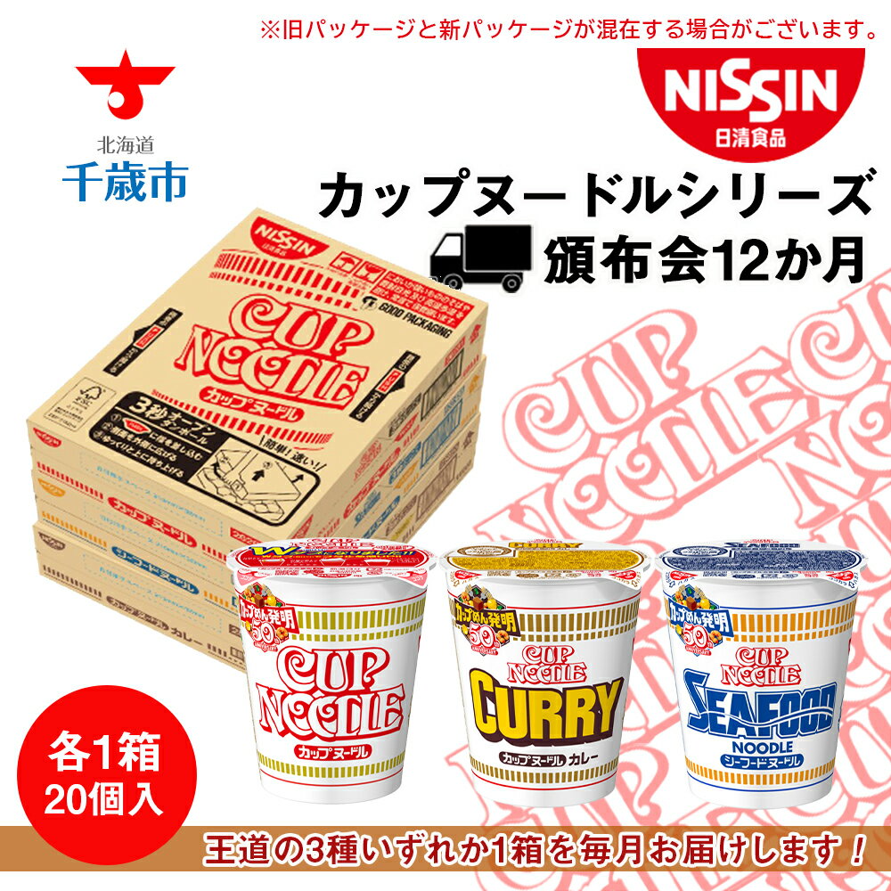 4位! 口コミ数「0件」評価「0」 【定期便 12か月】日清 カップヌ−ドル シリーズ20個 【北海道千歳市】ギフト ふるさと納税 お楽しみ 頒布会 麺類 ラーメン