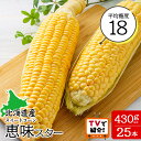 【ふるさと納税】【先行予約】<フジテレビ『どっちのふるさと?』で紹介>北海道 千歳産 とうもろこし 2Lサイズ 25本 恵味スター野菜 トウモロコシ 甘い 旬 ...