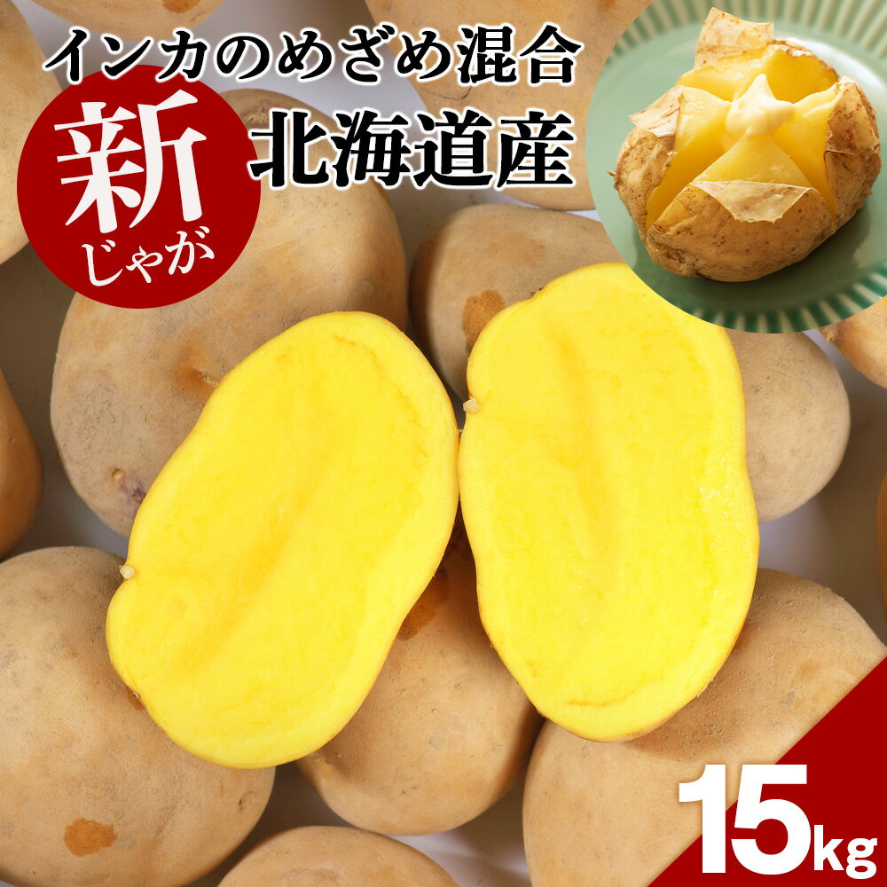 【ふるさと納税】 【2022年新じゃが】インカのめざめ混合　15kg【北海道千歳市】おいしさに訳あり　野菜 じゃがいものサムネイル
