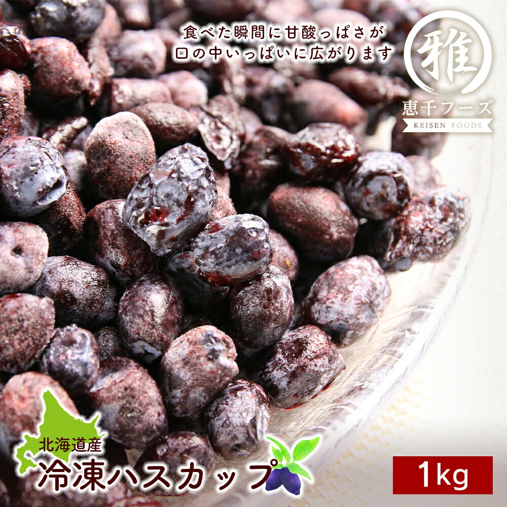 【ふるさと納税】 【北海道産】冷凍ハスカップ 1kg 北海道 ハスカップ 冷凍 果実【北海道千歳市】ギフト ふるさと納税のサムネイル