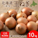 【ふるさと納税】 【2025年12月発送開始】玉ねぎ 10kg 選べるSS~LLサイズ 北海道 千歳市産 甘い たまねぎ 野菜 冷蔵 タマネギ 【假屋フードブリッジ】玉ねぎ たまねぎ タマネギ 玉葱 野菜 北海道ふるさと納税 千歳市 【北海道千歳市】ギフト ふるさと納税