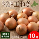 【ふるさと納税】【先行予約】玉ねぎ 10kg 無選別サイズ 北海道 千歳市産 甘い たまねぎ 野菜 冷蔵 タマネギ 【假屋フードブリッジ】玉ねぎ たまねぎ タマネギ 玉葱 野菜 北海道ふるさと納税 千歳市 【北海道千歳市】ギフト ふるさと納税