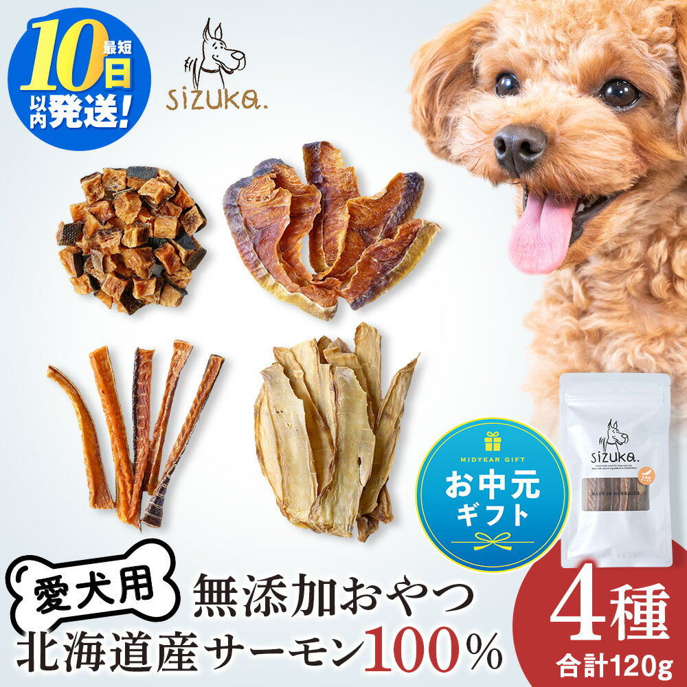 サーモン 北海道千歳市