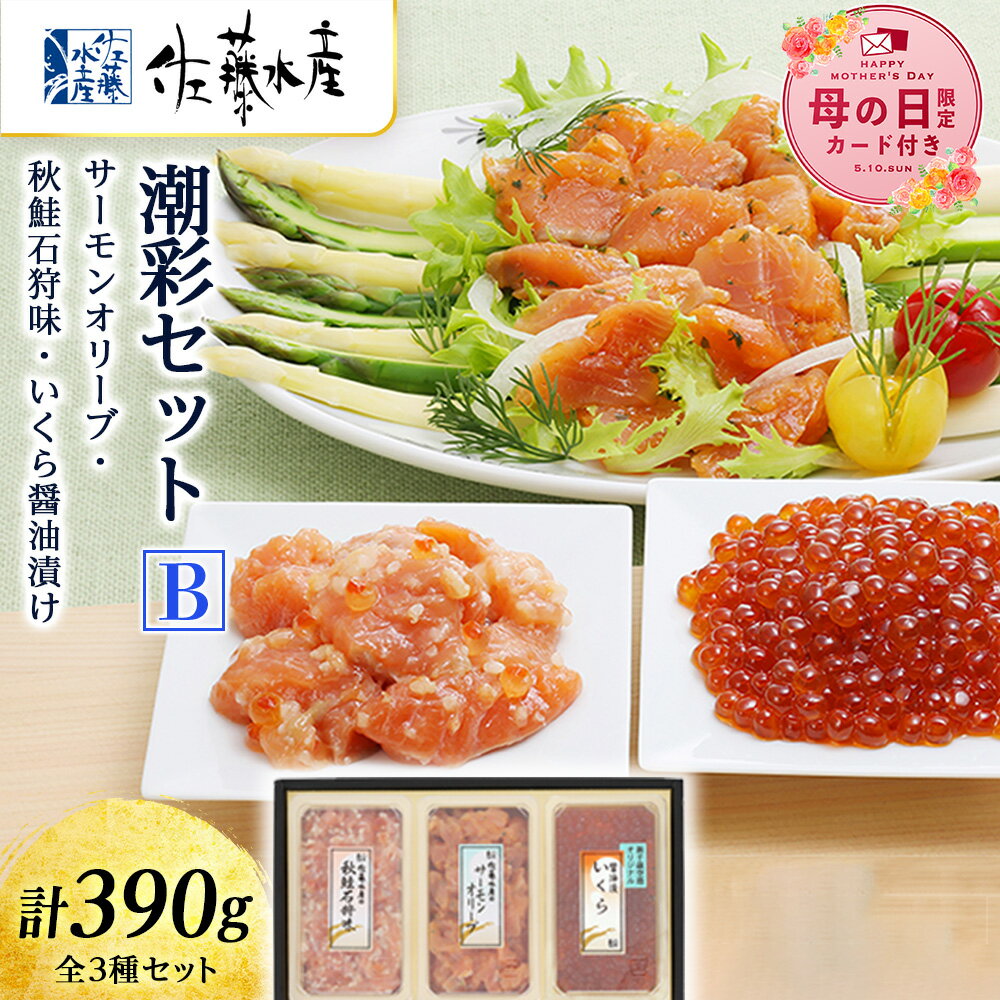 Rakuten - 【ふるさと納税】【母の日フェア 4/27入金分まで】佐藤水産 潮彩セットB(サーモンオリーブ・石狩味・いくら醤油漬) 【選べる発送月】 魚貝類 サーモン 鮭 いくら 魚卵 オリーブ いくら醤油漬 北海道ふるさと納税 千歳市 ふるさと納税【北海道千歳市】ギフト ふるさと納税