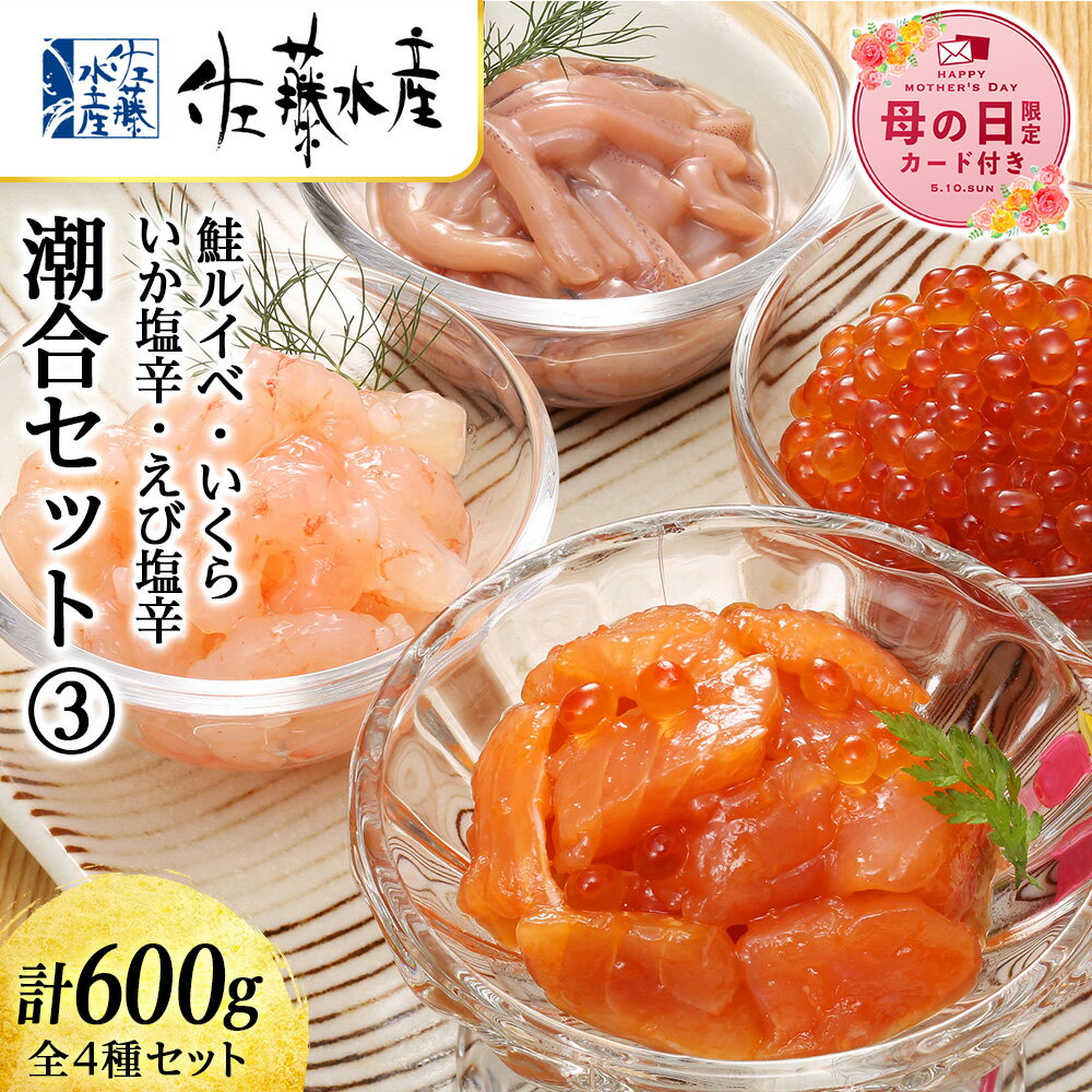 【ふるさと納税】【母の日フェア 4/27入金分まで】佐藤水産 潮合セット(3)鮭ルイベ・いくら・いか塩辛...