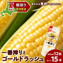 【ふるさと納税】2025年夏発送 キリン一番搾り 500ml 12缶&黄色いとうもろこしゴールドラッシュ15本 北海道千歳産 野菜 とうもろこし とうきび キリ...