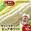 【ふるさと納税】2025年夏発送 キリンラガービール 350ml 12缶&白いとうもろこしピュアホワイト10本 北海道千歳産 野菜 とうもろこし とうきび キリ...