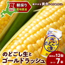 【ふるさと納税】2025年夏発送 キリンのどごし生350ml 12缶&黄色いとうもろこしゴールドラッシュ7本 北海道千歳産 野菜 とうもろこし とうきび キリン...