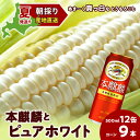 【ふるさと納税】2025年夏発送 キリン本麒麟500ml 12缶&白いとうもろこしピュアホワイト9本 北海道千歳産 野菜 とうもろこし とうきび キリンビール ...