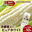 【ふるさと納税】2025年夏発送 キリン淡麗極上(生) 500ml 12缶&白いとうもろこしピュアホワイト10本 北海道千歳産 野菜 とうもろこし とうきび キ...