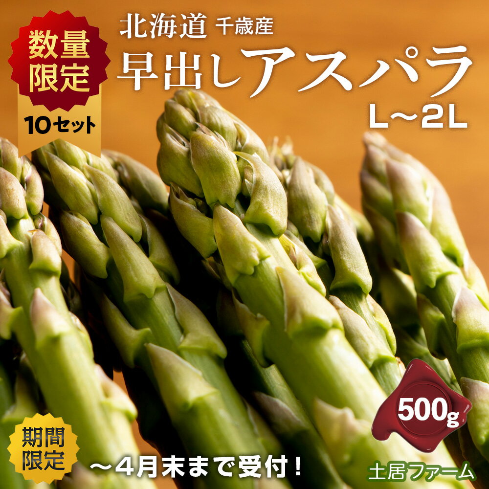 【ふるさと納税】ハウス栽培 早出しアスパラ500g【土居ファーム】北海道ふるさと納税 野菜 アスパラ アスパラガス グリーンアスパラ 北海道 千歳市【北海道千歳市】ギフト ふるさと納税