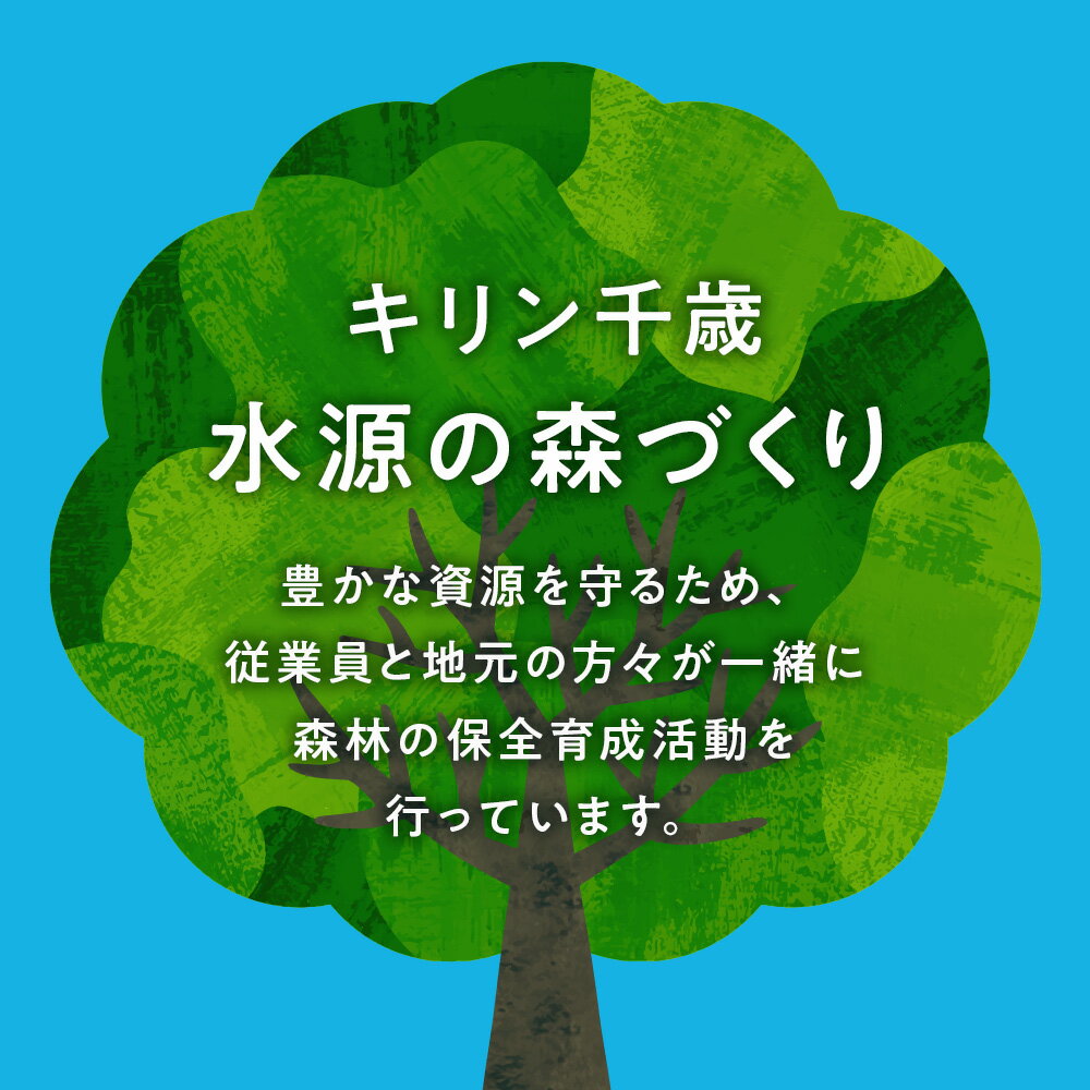 【ふるさと納税】 【定期便 6回・奇数月】キリ...の紹介画像3