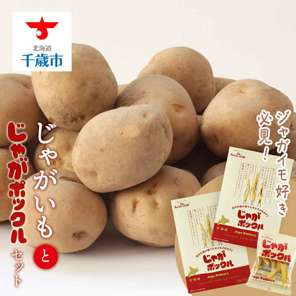 【ふるさと納税】 じゃがいも好き必見！じゃがポックルとじゃがいもセットじゃがいも キタアカリ メークイン 男爵薯 レッドムーン セット 北海道ふるさと納税 千歳市 ふるさと納税【北海道千歳市】ギフト ふるさと納税のサムネイル