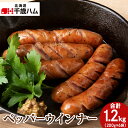 【ふるさと納税】 ポーク ペッパーウインナー ×6個 豚 千歳工房 千歳 北海道 豚肉 ウインナー ペッパー 肉 北海道 千歳ハム 加工肉 肉料理 【北海道千歳市】ギフト ふるさと納税(4)