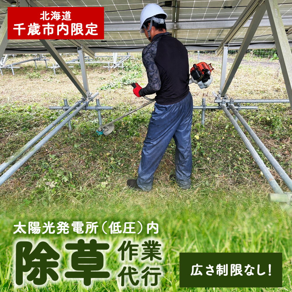 【ふるさと納税】 太陽光発電所 除草作業（低圧）サービス 代行 メンテナンス 太陽光発電 掃除 草取り 草刈 報告書付 施設管理 発電機 お手入れ 北海道ふるさと納税 北海道 千歳市
