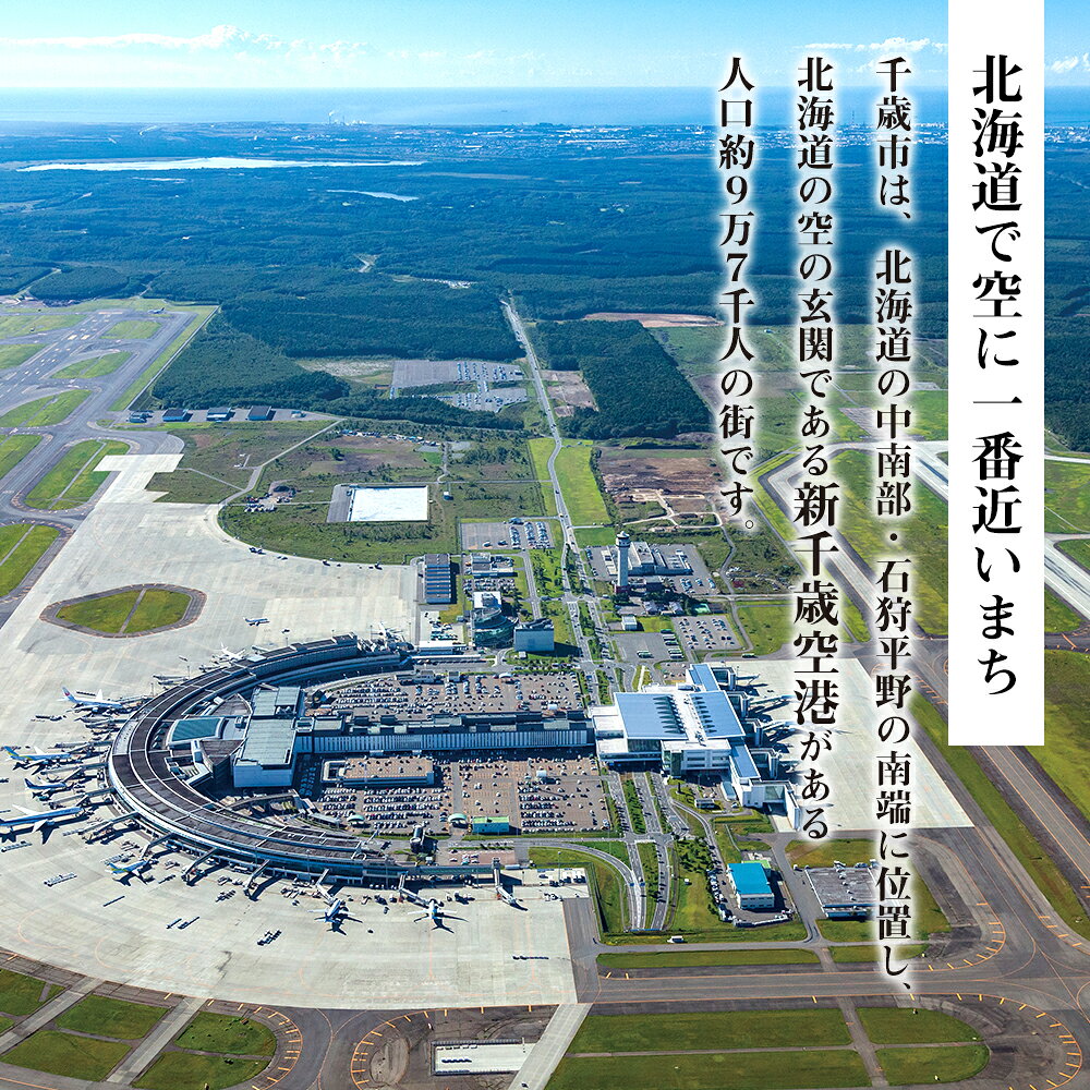 【ふるさと納税】北海道 千歳市☆応援寄付金☆ 選べる応援寄付金【返礼品なし】千歳市 ふるさと納税 北海道ふるさと納税 寄付のみ 返礼品なし 【QQ001】 f012246-chitose-10001095 北海道千歳市 サンプル画像2