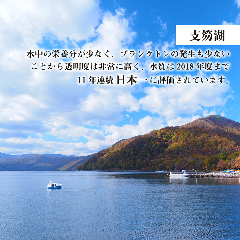 【ふるさと納税】北海道 千歳市☆応援寄付金☆ 選べる応援寄付金【返礼品なし】千歳市 ふるさと納税 北海道ふるさと納税 寄付のみ 返礼品なし 【QQ001】 f012246-chitose-10001095 北海道千歳市 サンプル画像3