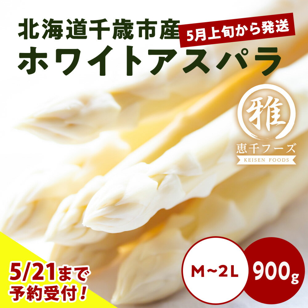 2026年春発送 ホワイトアスパラ 900g M〜2L 北海道千歳産 野菜 ホワイトアスパラ アスパラガス アスパラ 2026年5月中旬〜6月上旬にかけて順次発送 にかけて順次発送 [北海道千歳市]ギフト ふるさと納税