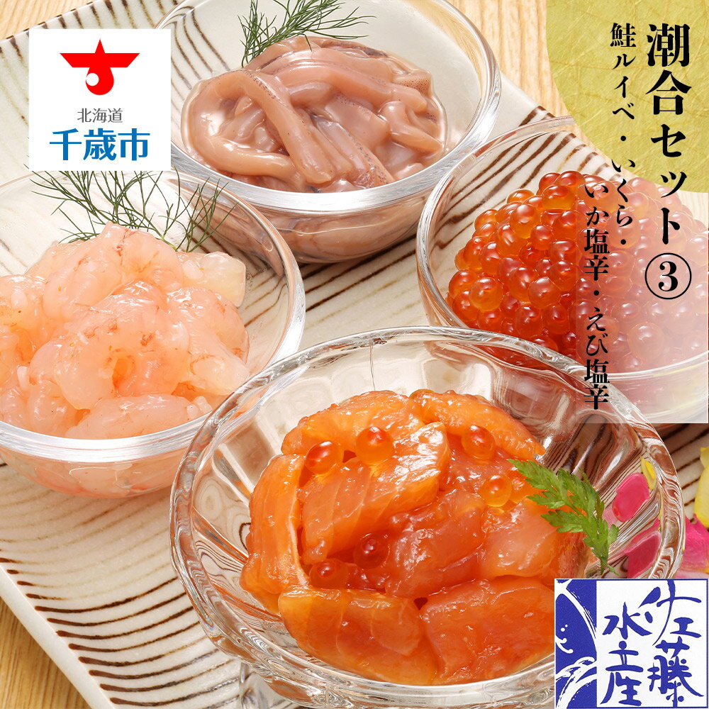 21新発 ふるさと納税 佐藤水産 潮合セット3 鮭ルイベ いくら いか塩辛 えび塩辛 魚貝類 サーモン えび 塩辛 鮭 イカ 魚貝類 漬魚 いくら 醤油漬け 北海道千歳市 21春夏新色 Nepalraftar Com 21新発 ふるさと納税 佐藤水産 潮合セット3 鮭ルイベ いくら いか塩辛 えび塩辛 魚貝類 サーモン えび 塩辛 鮭 イカ 魚貝類 漬魚 いくら 醤油漬け 北海道千歳市 21春夏新色 Nepalraftar Com
