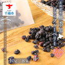 【ふるさと納税】 《北海道産》【ギフト用】《北海道産》無添加ドライブルーベリー 無添加 ドライフルーツ ブルーベリー 砂糖不使用【北海道千歳市】ギフト ふるさと...