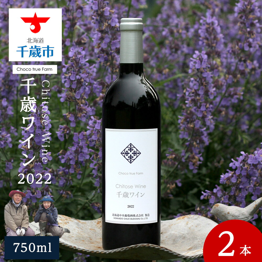 千歳ワイン2022（Chitose Wine）750ml 2本※ギフトボックス無しワイン 酒 お酒 ギフト 千歳 北海道 フィールドワイン ワイン 赤ワイン 赤 千歳ワイン 北海道ふるさと納税 千歳市 ふるさと納税【北海道千歳市】ギフト ふるさと納税