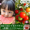 【ふるさと納税】【2025年8月中旬より発送】有機JAS認定!小玉スイカ1玉&有機ミニトマト500g×2【かねこ農園】北海道ふるさと納税 野菜 ミニトマト 有機...