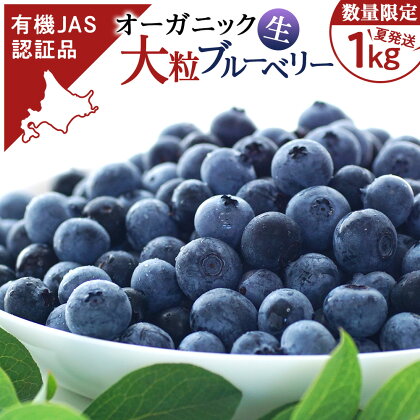 ブルーベリー 数量限定 大粒 有機 無農薬 冷蔵 オーガニック 250g 4パック 1kg 千歳市産 【ベリーファーム】ブルーベリー 北海道 フルーツ ベリー 果物 北海道ふるさと納税 千歳市 ふるさと納税【北海道千歳市】