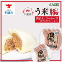 【ふるさと納税】う米豚肉まんソーセージセット(肉まん・ウィンナー・フランクフルト)豚まん 肉まん ソーセージ ウィンナー フランクフルト 加工肉 北海道千歳市ギ...