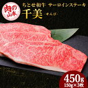 【ふるさと納税】 ちとせ和牛「千美」サーロインステーキ　150g×3枚＜肉の山本＞北海道ふるさと納税 お肉 肉 にく ニク ふるさと納税肉 北海道 千歳市 ギフト 祝い お取り寄せ 牛肉 サーロインステーキ【北海道千歳市】ギフト ふるさと納税