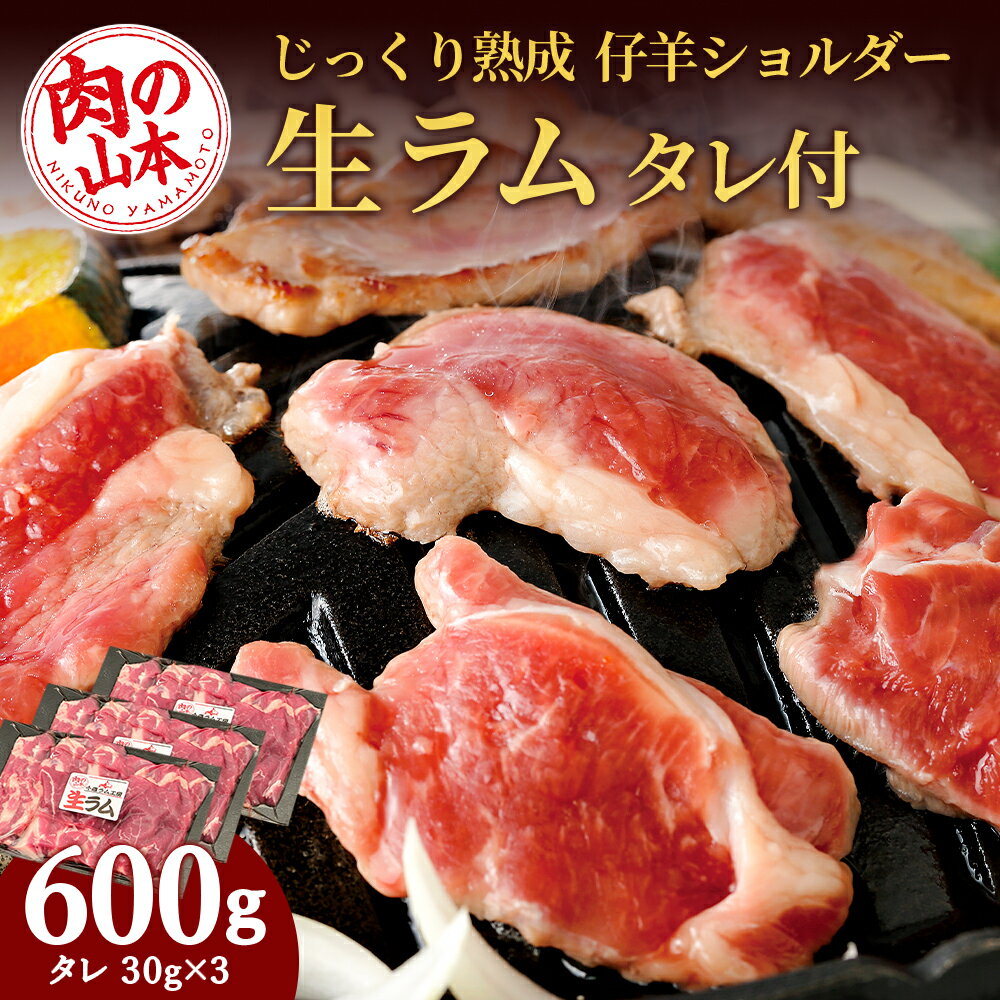 【ふるさと納税】生ラム 冷凍 タレ付 600g＜肉の山本＞ ラム肉 羊肉 ジンギスカン タレ ラム 鍋 【北海道千歳市】ギフト ふるさと納税