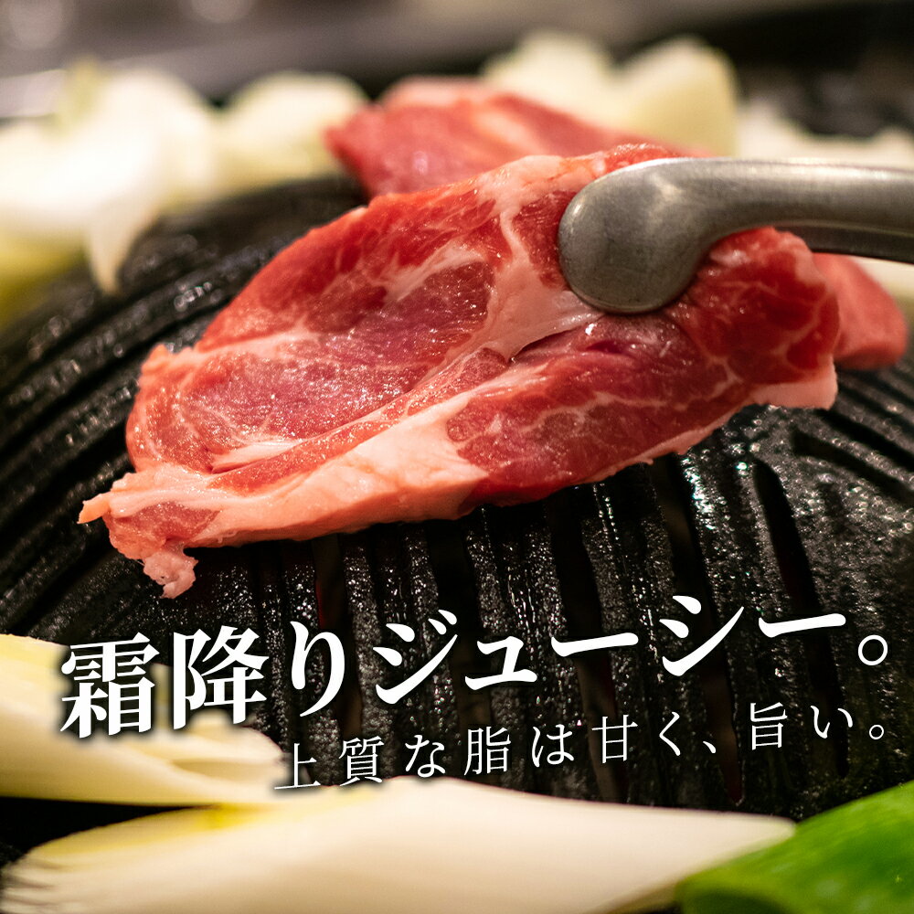 【ふるさと納税】生ラム （冷凍）タレ付 600g＜肉の山本＞ ラム肉 羊肉 ジンギスカン タレ ラム 鍋 【北海道千歳市】ギフト ふるさと納税