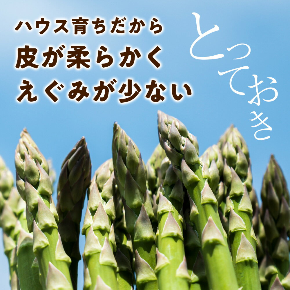 【ふるさと納税】 2026年春発送 ハウスグリーンアスパラ 1kg L〜2Lアップ 北海道千歳産 野菜 アスパラガス アスパラ 2026年4月中旬より順次発送　 北海道ふるさと納税 千歳市 ふるさと納税【北海道千歳市】ギフト ふるさと納税