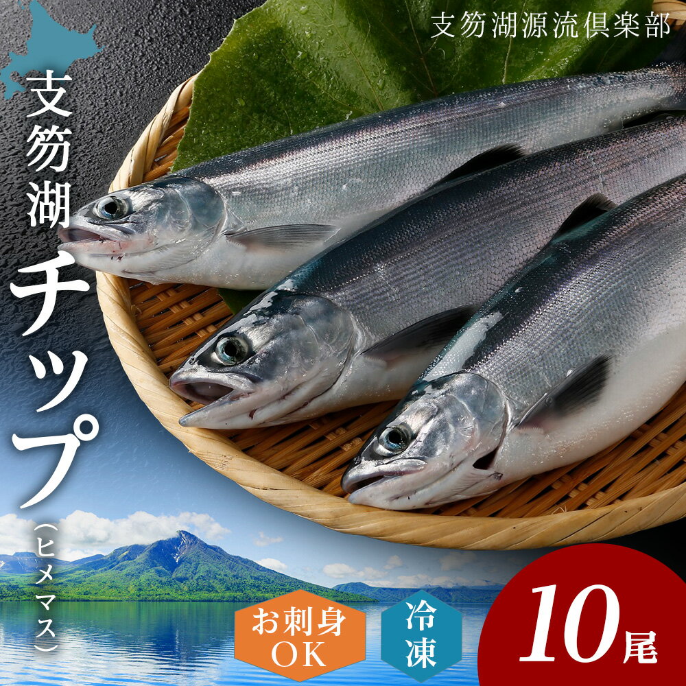 【ふるさと納税】支笏湖チップ（マル・冷凍）×10尾 北海道 魚 冷凍 鮭 鱒 支笏湖 ヒメマス 千歳 支笏湖源流倶楽部魚介類 鱒 ヒメマス 冷凍 姫鱒 マル 北海道ふるさと納税 千歳市 ふるさと納税【北海道千歳市】ギフト ふるさと納税のサムネイル