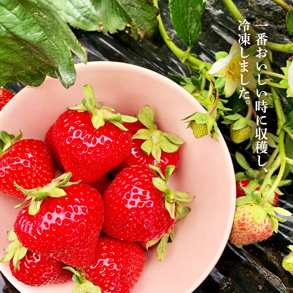 千歳のいちご狩りおすすめや時期は 花昌 松浦農園 小川農場 花工房あや 花茶 そらいろ 日本が魅せる多彩な表情 千歳のいちご狩りおすすめや時期は 花昌 松浦農園 小川農場 花工房あや 花茶 そらいろ 日本が魅せる多彩な表情